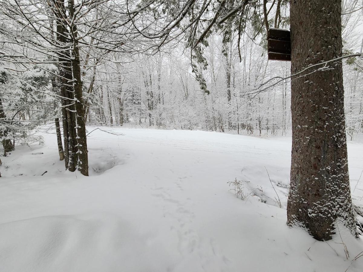Ski In/Out Spruce Glen Townhomes On Great Eastern Trail Killington Extérieur photo