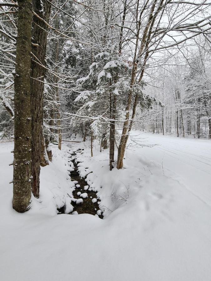 Ski In/Out Spruce Glen Townhomes On Great Eastern Trail Killington Extérieur photo